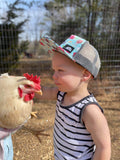 Barnyard Snapback